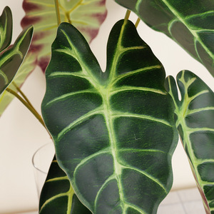 Bouquet de feuilles de taro artificielles, feuille de paon à 10 têtes, haute simulation, plante décorative d'intérieur, fleurs pour vase, vert automnal, vert foncé - Product Image 3