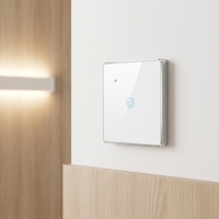 Interrupteur mural intelligent Tuya Wifi Zigbee avec cadre en aluminium couleur argent, verre trempé, télécommande, normes UK/EU