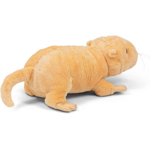 C011 Juguete <span class=keywords><strong>de</strong></span> Peluche <span class=keywords><strong>de</strong></span> Rata Oruga, Animal <span class=keywords><strong>de</strong></span> Peluche, Venta al por Mayor, ODM, OEM, Estándar CPC CE, Oruga Personalizada, Material Premium, Abrazos para Niñas - Product Image 4