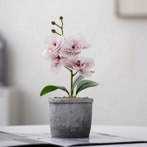 Orchidee finte Orquideas artificiale Real Touch Vivid Orchid Phalaenopsis pianta <span class=keywords><strong>orchidea</strong></span> artificiale fiori piante <span class=keywords><strong>con</strong></span> <span class=keywords><strong>vaso</strong></span> - Product Image 2