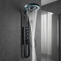 Panneau de douche mural contemporain de luxe noir multifonctionnel en acier inoxydable avec jet de massage doux et éclairage LED numérique