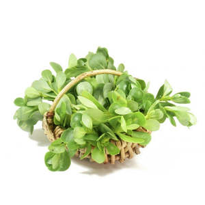 Bacopa Monnieri özü tozu içinde 20% -50% Bacopaside A + B <span class=keywords><strong>Portulaca</strong></span> <span class=keywords><strong>Oleracea</strong></span> özü - Product Image 2