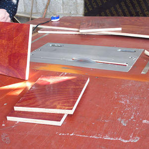 Usine de <span class=keywords><strong>contreplaqué</strong></span> de conteneur de bouleau bon marché à vendre <span class=keywords><strong>contreplaqué</strong></span> marin de <span class=keywords><strong>plancher</strong></span> de conteneur <span class=keywords><strong>remorque</strong></span> de port - Product Image 2