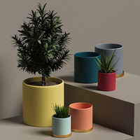 2024 pot de plante coloré à la mode avec plateau en or usine directement vente aiguiser et jardin mini pots décoratifs prêts à expédier