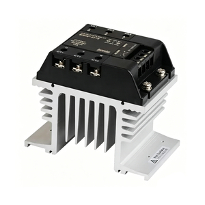 รีเลย์โซลิดสเตท Autonics รุ่นใหม่ของแท้ ซีรีส์ SR2 รุ่น SR2-1430/SR2-1430R/SR2-1440 พร้อมฮีทซิงค์แบบถอดได้ - Product Image 2