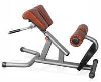 Banc d'extension dorsale pour l'hyperextension du dos, équipement d'exercice commercial, capacité de machine d'extension dorsale