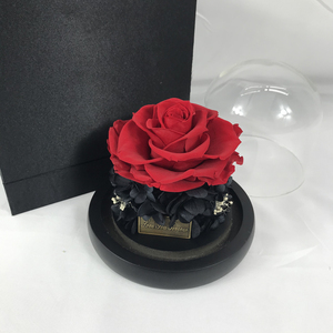 Set Regalo di Rose Stabilizzate Fatte a Mano Junio, Decorazione Floreale per Natale e San Valentino, Lunga Durata, Grado A, 8-9cm - Product Image 5