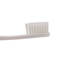 Vente en gros de brosses à dents manuelles colorées pour adultes B817, brosse à dents écologique à poils doux en PBT avec PP+TPE