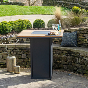 Mesa de <span class=keywords><strong>Chimenea</strong></span> a Gas, Construcción de Hierro, Calentador Portátil para Interiores/Exteriores con Pinchos, Recubrimiento en Polvo, para Jardín y Fiestas - Product Image 4