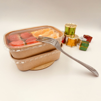 Conteneur rectangulaire en kraft écologique populaire pour aliments, boîte à lunch, bento, sushi, chips, aliments pour bébés - Boîte à emporter étanche