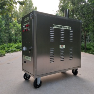 Machine de nettoyage automobile mobile en acier inoxydable, vapeur et eau froide, lavage, polissage et cirage de voitures à domicile, batterie au plomb-acide 48V - Product Image 2