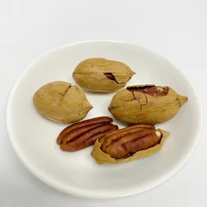 Wholesale High Quality New Arrival Sweet Milky Flavor Dried Pecan Nuts Healthy Snack