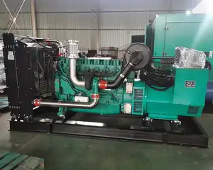 30Kw 40kw 50kw Máy phát điện diesel im lặng xăng máy phát điện đóng cửa thời tiết loại điện Máy phát điện đặt