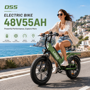 D55 <b>Electric</b> City Bike 750w Light Weight <b>Electric</b> City Bike 48v 55AH for wholesale E Bike <b>Electric</b> Bicycle - Product Image 1