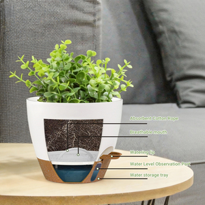 Fabrieksleverancier Zelfwatergevende Duurzame Waterbesparende Plastic Balkon Kantoor Binnenplaats Bloempot Lui Tuinier Bloempot - Product Image 2