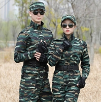 Vestes tactiques de chasse en plein air, vêtements d'entraînement, veste imperméable, vestes anti-déchirure, veste coupe-vent multi-poches pour l'automne