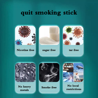 Bâtonnet jetable personnalisé pour arrêter de fumer, 700 puffs, aromatisé, sans fumée, sans nicotine, capacité 5ml, pour usage buccal
