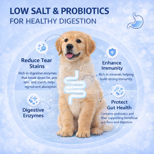 Produttore di Cibo Secco per Cani ad Alto Contenuto Proteico in Cina, Fornitore all'Ingrosso per Distributori e Marchi - Product Image 4