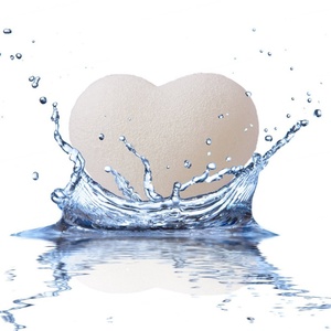 Éponge faciale en konjac naturel au thé vert, style japonais, exfoliation douce, nettoyage en profondeur, éponge en konjac naturel - Product Image 5