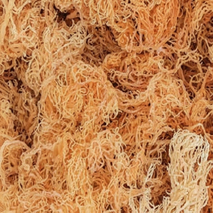 Alga Marina Silvestre Seca y Sazonada en Bolsa para Venta al por Mayor-Ivy +84977157110 - Product Image 1