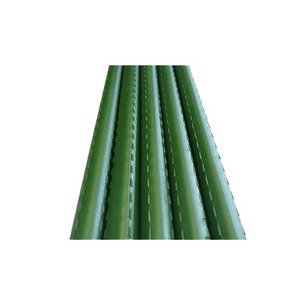 Estaca de Jardín de Acero Recubierto de Plástico Resistente, Varilla Recta para Plantas, Soporte para Cultivos de Flores y Vides en el Patio Trasero - Product Image 2