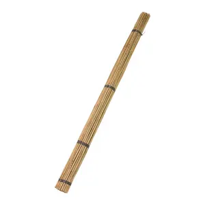 tonkin bamboo canes Dia.18-20mm x 300cm for Tree Guards