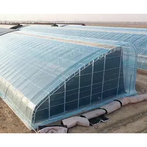 Quadro de filme tianjin tyt greenhouse de plástico de policarbonato, grande película de plástico tecido de poliarbonato para produção agrícola metal po/pep/hdpe