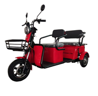 Tricycle électrique à trois roues à carrosserie ouverte EEC/COC/L2e-P, tricycle électrique pour passagers, scooter trike pour le marché européen