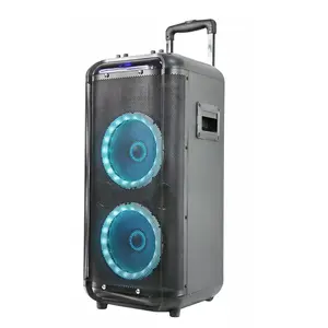 Batterie rechargeable de 8 pouces, équipement audio professionnel haut-parleur haut-parleur haut-parleur haut-parleur de scène, chariot de fête, haut-parleur en bois