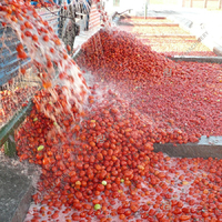 Iso 9001/Ce Mini Geconcentreerde Tomatensaus Verwerkingslijn Tomatenmachine Tomaten Pasta Maken Machine Automatisch