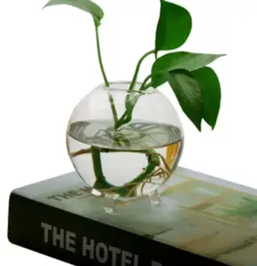 Resun花式苹果形状亚克力迷你水箱，用于养鱼或种植植物桌面和壁挂式发光二极管灯