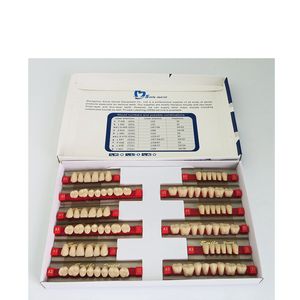 Denti in Resina Sintetica a 3 Strati Denti Finti Acrilici per Protesi Dentale Completa - Product Image 2