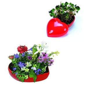 Barattolo 1050 semi di cuore gadget personalizzati - Product Image 1