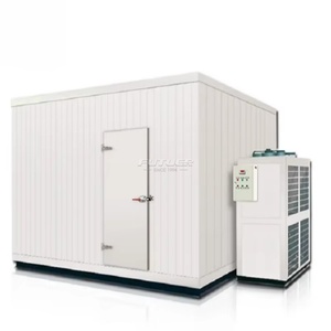 Cella Frigorifera Premium: La Tua Soluzione Affidabile per la Catena del <span class=keywords><strong>Freddo</strong></span> - Product Image 6