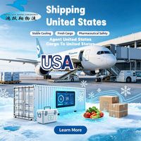 Agente de envío EE. UU. Flete aéreo Aeropuerto internacional O'Hare de Los Ángeles Express Ups Envío Servicios de transporte