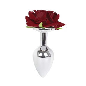 SMOOTH Kit Personnalisé SM pour Adultes : Petit Plug Anal Rose, Pince à Tétons, Accessoires d'Entraînement et de Punition pour Jeux en Extérieur - Product Image 6