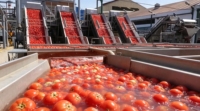 Turnkey fruitjam productielijn complete verwerkingsinstallatie voor aardbeien-, mango- en bosbessenjam met tube-in-tube UHT-sterilisator