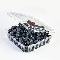 Barquettes d'emballage pour myrtilles en plastique PET recyclé de 1,5 lb, boîte d'emballage pour fruits, conteneur à clapet pour myrtilles avec couvercle à charnière