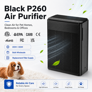 <span class=keywords><strong>Purificateur</strong></span> <span class=keywords><strong>d</strong></span>'<span class=keywords><strong>air</strong></span> HEPA de bureau USB personnalisé Micro Ecological PM2.5 Purification Portable pour le <span class=keywords><strong>d</strong></span>ésodorisant de bureau à domicile - Product Image 2