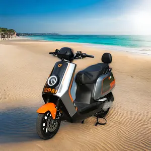 Mattschwarzes Elektro-Stadtfahrrad 60 V 750 W 1000 W Liefer-Scooter Motorrad für den Stadtverkehr elektronisches intelligentes Fahrrad