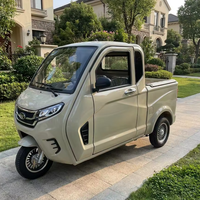 Tricycle électrique fermé de livraison de marchandises, mini-pick-up électrique à faible vitesse, nouvelle énergie, fabriqué en Chine, batterie au plomb-acide 60V