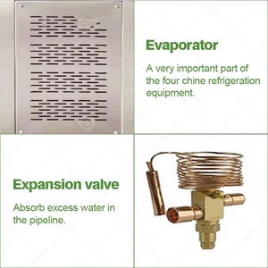 Producto japonés totalmente automático comercial negro <span class=keywords><strong>ajo</strong></span> Cámara precio fabricante 100 Kg máquina <span class=keywords><strong>de</strong></span> fermentación para la venta - Product Image 3