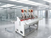 Máquina Automática para Pegar Cinta en Cajas de Cartón Corrugado/Equipo Automático para Pegar Cinta para la Industria del Embalaje