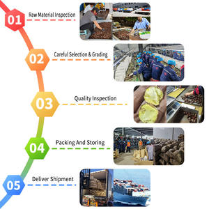 Châtaignes fraîches en vrac biologiques <span class=keywords><strong>prix</strong></span> de traitement brut par <span class=keywords><strong>kg</strong></span> - Product Image 4