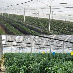 <span class=keywords><strong>Lampe</strong></span> LED UFO 50W 80W <span class=keywords><strong>pour</strong></span> la croissance des roses, des plantes, des fleurs et des légumes <span class=keywords><strong>en</strong></span> serre – Éclairage d'appoint <span class=keywords><strong>pour</strong></span> serres – Projecteurs LED High Bay - Product Image 6