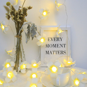 Led Zonnebloem <span class=keywords><strong>String</strong></span> <span class=keywords><strong>Lights</strong></span> Eva Egg Hawaiian Flower Ip65 Voor Indoor Outdoor Kerst Decor Kamer Decoratieve Verlichting 1M Lengte - Product Image 6