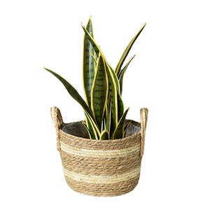 Woven <b>Basket</b> Round Double Layer Corn Rope Straw Handmade Storage <b>Basket</b> For Plants Decor - Product Image 5