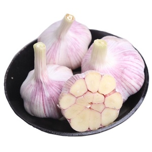 Ajo Fresco Entero Cultivado en Granjas de Shandong - Tipo Común - Product Image 4
