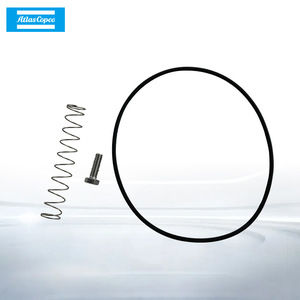 Kit de mantenimiento de la válvula de admisión Atlas Copco 9820976900 para compresores de tornillo y pistón - Product Image 2