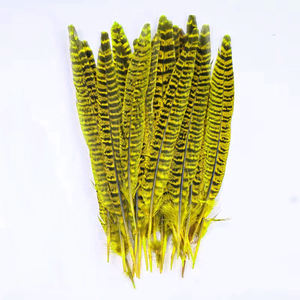 Plumes Haute Couture | Plumes <span class=keywords><strong>de</strong></span> cuivre prêtes pour la piste pour les maisons <span class=keywords><strong>de</strong></span> design - Product Image 3